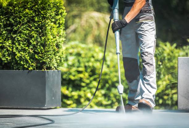 Best Rust Removal  in Hillview, KY
