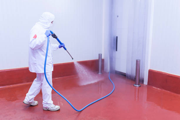 Paint Preparation in Hillview, KY