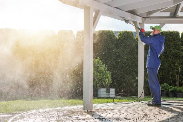 Best Sidewalk and Walkway Cleaning  in Hillview, KY