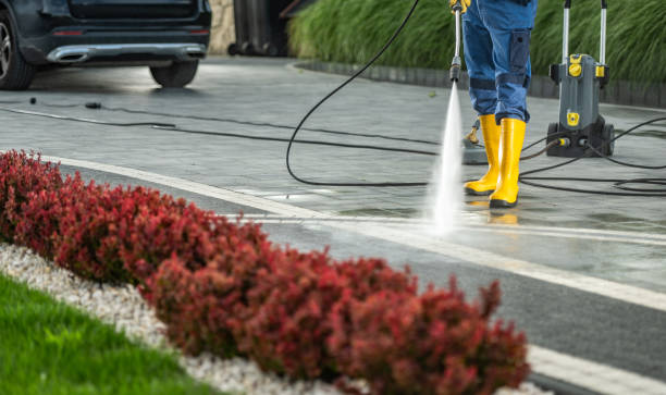 Best Roof Washing  in Hillview, KY